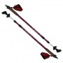 Denqbar Nordic Walkingstcke,Wanderstcke u Anti-Shock Bild 1