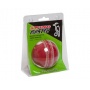 KOOKABURRA Swing Master Cricket Skill Ball, Herren Bild 1