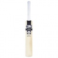 Sport GM Icon DXM 303 Toe Tek English Cricket-Schlger Bild 1