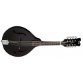  Dean Guitars Classic Black Tennessee A/E Mandolin Bild 1