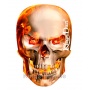 Kings Dart Dart Flight Fire Skull Bild 1