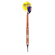 Barney Soft-Dartpfeile Raymond Van Barneveld Bild 1