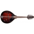 STAGG Bluegrass Elektro Mandoline Bild 1