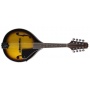  Stagg Bluegrass Mandoline mit massiver Fichtendecke von Stagg Bild 1