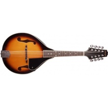  Stagg Bluegrass Mandoline mit massiver Fichtendecke von Stagg Bild 1