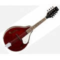  Tanglewood TWMTWR Mandoline Bild 1