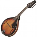  TENNESSEE A-1 F-loch Mandoline Bild 1