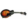 Tennessee Mandoline Premium F-2 Bild 1