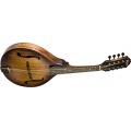  Washburn M106SWK Mandolin Bild 1