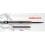 Red Dragon Darts Amberjack 3: 22g Steel Dartpfeile Bild 1