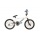Rooster Mad Frank 20zoll ALU BMX Fahrrad Bild 5