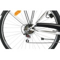 SPRINT Cityrad 28 Zoll ComfortElise,Shimano 7 Gang Bild 1