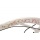 KS Cycling Damen Cityrad Eden RH 48 cm, Wei, 28, 444B Bild 1