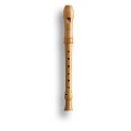 Mollenhauer 2106 CANTA Sopran Blockflte Birnbaum barock Bild 1