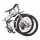 Wild Eagle LLobe Erwachsene Elektrofahrrad Sport, Wei Bild 4