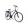Leon Cycle NCM HAMBURG 28 Zoll Elektrofahrrad 36V 250W Bild 1