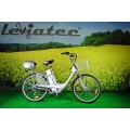 Leviatec Elektrofahrrad E-Bike Z1eb 250 W, 36V Silber Bild 1