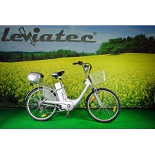 Leviatec Elektrofahrrad E-Bike Z1eb 250 W, 36V Silber Bild 1