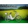 Leviatec Elektrofahrrad E-Bike Z1eb 250 W, 36V Silber Bild 1