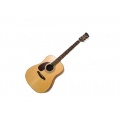 Brunswick BDL200 Dreadnought Akustikgitarre Bild 1