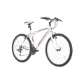 SPRINT 26 Zoll ACTIVE Mountainbike Hardtail, 18 Gang Bild 1