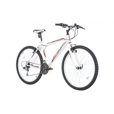 SPRINT 26 Zoll ACTIVE Mountainbike Hardtail, 18 Gang Bild 1