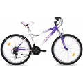 SPRINT Mountainbike 26 Zoll MTS Hardtail, 18 Gang Bild 1