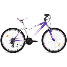 SPRINT Mountainbike 26 Zoll MTS Hardtail, 18 Gang Bild 1
