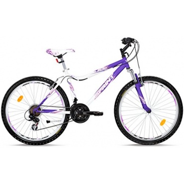 SPRINT Mountainbike 26 Zoll MTS Hardtail, 18 Gang Bild 1