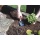 C.K G5730 Garten / Blumenkelle Bild 2