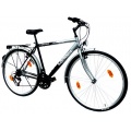 NEUZER LANDER Herren Trekking 28er 18G silber RH54 cm Bild 1