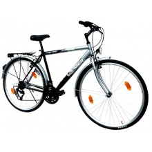 NEUZER LANDER Herren Trekking 28er 18G silber RH54 cm Bild 1