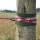 BUZZARD easyline Slackline Set 15m Bild 5