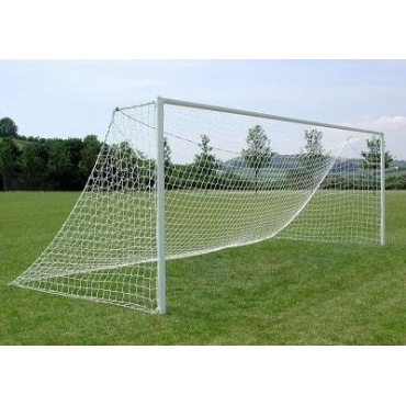 Netsportique Tornetz 7,32 x 2,44 m - 2,5 mm, wei Bild 1