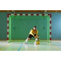 Tornetz Standard 3 x 2 m (Stck) von Wallenreiter Bild 1