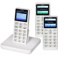 Grandfone Seniorenhandy SOS Notruftaste Bild 1