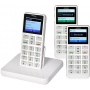 Grandfone Seniorenhandy SOS Notruftaste Bild 1