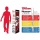 WILSON Pro Staff, Rot, RH,Golfschlgersatz  Bild 2