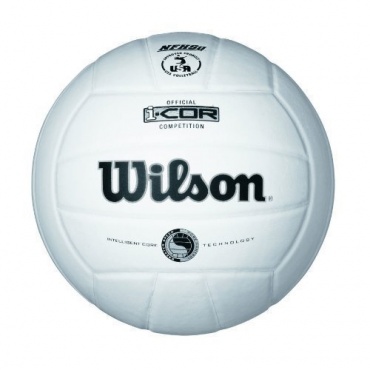 Wilson Volleyball i-Cor Competition Silver, wei Bild 1