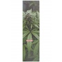 MOB High Times Skateboard Griptape Green Leaf 9Zoll Bild 1