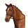 CAP Kombiniert Geschirr Softy Leder weich braun Pony Bild 1