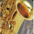 Alt Saxophone AS 1 mit Koffer Bild 2