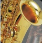 Alt Saxophone AS 1 mit Koffer Bild 2