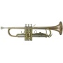 Roy Benson Bb Trompete TR 202G Student Pro Series Bild 1