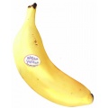 Rhythm Tech Fruit Shaker Maracas Banane Bild 1