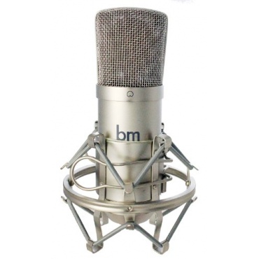 Großmembran Kondensator Studiomikrofon SBM1W bm-microphones mit Goldmembran + Spinne Bild 1