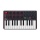 Akai MPK Mini MK2 - kompakter Keyboard and Pad MIDI Controller Bild 5