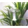 Lauscha Glaskunst Tolle Pflanzensitter: Durstkugel/Bewsserungskugel - gro Bild 2