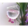 Lupi Tolle Pflanzensitter: Durstkugel & Gieblume klein Bild 1