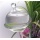 Pflanzensitter: Durstkugel/Bewsserungskugel klar mit Glas-Stopfen gedrckter Rand ca.9cm Bild 1